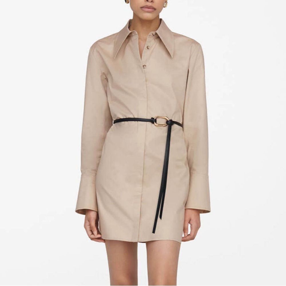 Anine Bing Tiffany poplin mini dress